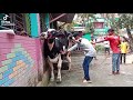 অস্তির বিনোদন H Rxroni Rx Fullvideo Viralvideo