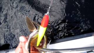 preview picture of video 'Rapala Pike Fishing'