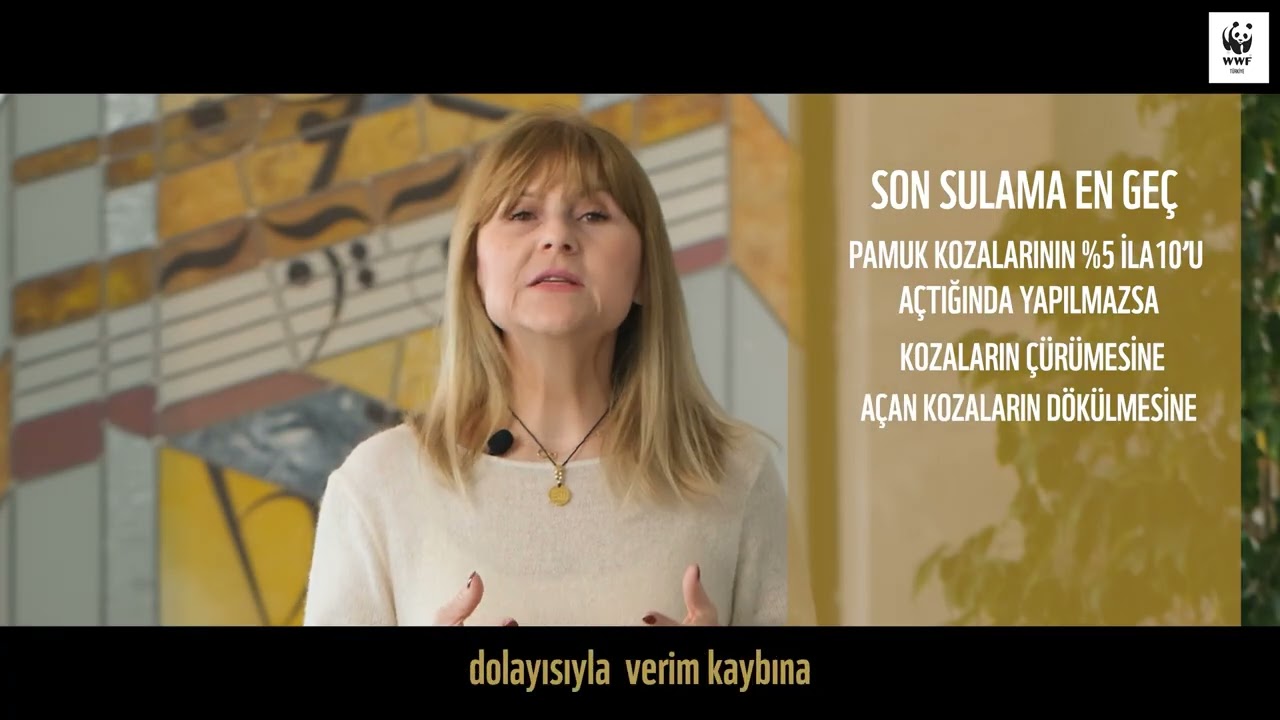 Pamuk Üretiminde Su Yönetimi: Pamuk Üretiminde Uygun Sulama Programı