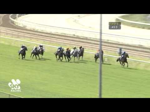 Race 5 - Ascot - 15/10/11