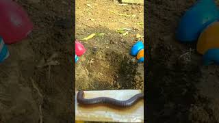 Download lagu Bila waktu tlah memanggil versi kaki seribu 😭 mp3