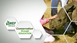 CONSERVATION through EDUCATION - WEF (HD) 