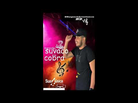 forrozão suvaco de cobra#pizeiro_repertorio novo 2k21