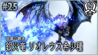 【MHR:SB】双剣縛りでゆっくり実況MR#25【銀火竜リオレウス希少種】