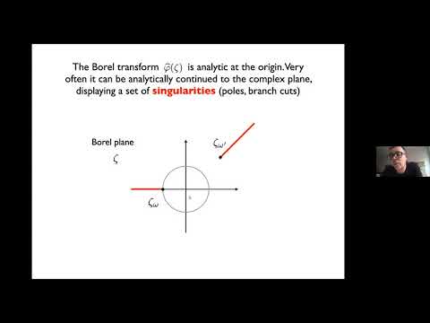 Marcos Marino: "Peacock patterns, or how to get integer invariants from perturbative series"