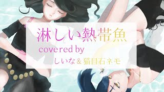 Fw: [Vtub] 猫目石 ネモ Nemo Nekomeishi 鋼琴歌回