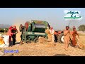 Thresher Lagi Gai Poa Tajo Dada Shero Ep76 Pothwari Superhit Funny Drama Punjabi Comedy Drama