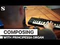 Video 2: Composing With Principessa Organ