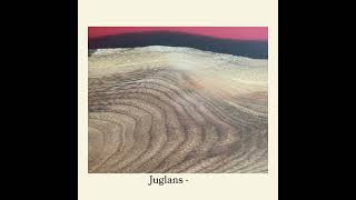 Juglans – síla ořechu 