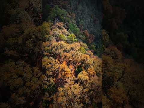 Altar Maya CHUSAQRIB'AL😌🕯San Andrés Sajcabajá, El Quiché.