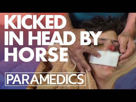 Thumbnail of the video: Man kicked in the face by a horse