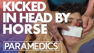 Man kicked in the face by a horse