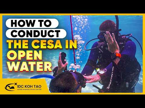 How to Conduct the Controlled Emergency Swimming Ascent - CESA - in Open Water 🤿
