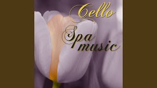 Eco Spa (Relaxing Massage Music)