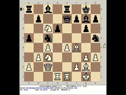 Anton Guijarro, David vs Plat, Vojtech | Bundesliga Chess 2023 24, Hamburg Germany