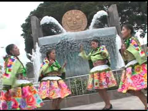 Chicas Rosas y Claveles - Carnavales en Parranda