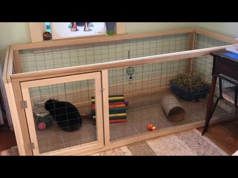 , title : 'DIY bunny cage'