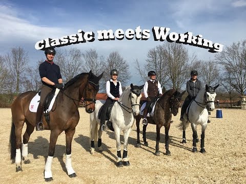 CLASSIC meets WORKING 2018 - Pferd International 2018 - Dressur vs. Working Equitation