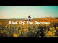 Bird of the Summer // A Fine Frenzy // Lyric Video