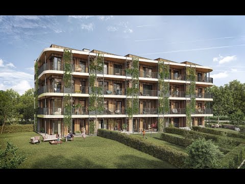 Projekt Timber Praha od UBM