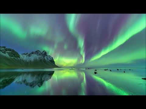 Nikolija x Amna x Rade x Lacku   AURORA By wolfpeck