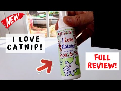 I LOVE CATNIP!    ❤️   Pet MasterMind Catnip Spray  - Review ✅