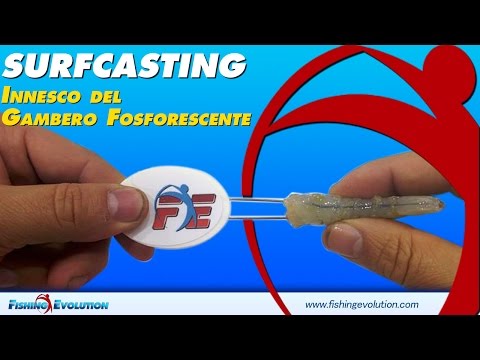 Lanalisi non mostra vermi La gente per mezzo di parassiti