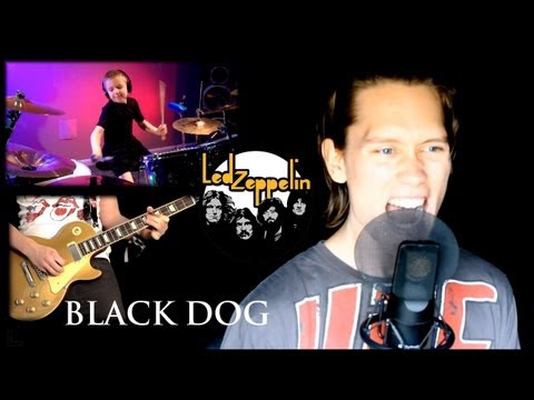 BLACK DOG by Led Zeppelin | FULL BAND COVER ft. Pellek & Avery Drummer