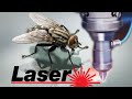 Kill Fly With Laser Cnc
