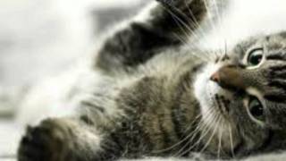 Nek - Quando Sarò Lontano