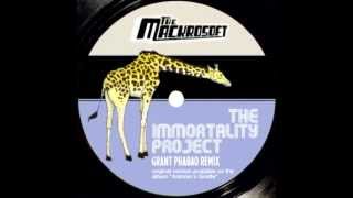 The Makrosoft - The Immortality Project  (Grant Phabao Remix)