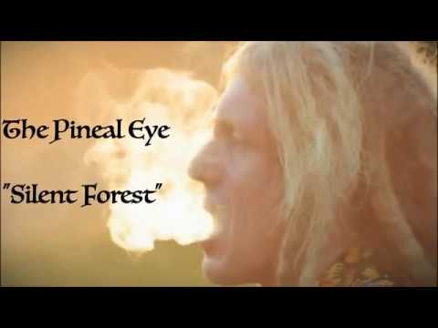 The Pineal Eye - Silent Forest