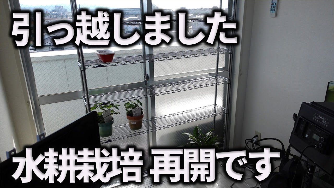 【水耕栽培大学】水耕栽培の環境が変わりました動画を再開します！！/The hydroponic environment has changed and I will resume YouTube