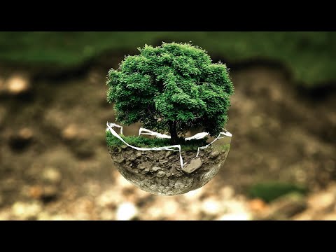 "Wir sind Klimaheld:innen" - Schulfilm der VS Allhartsberg