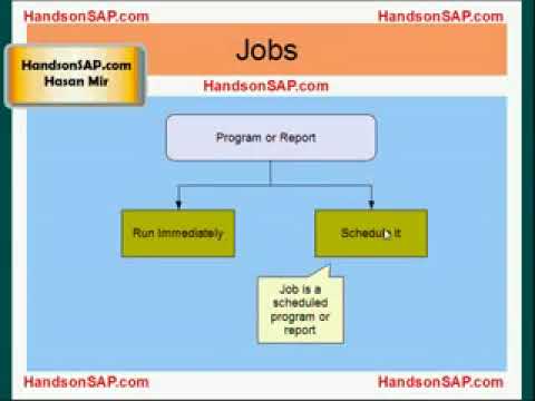 SAP Terms   Video 8   SAP Terms