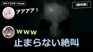 せなちゃん・ちせ丸 初オフコラボ【絶叫集】 #空澄セナ #龍巻ちせ #うるセーナ #ぶいすぽ #VSPO #切り抜き