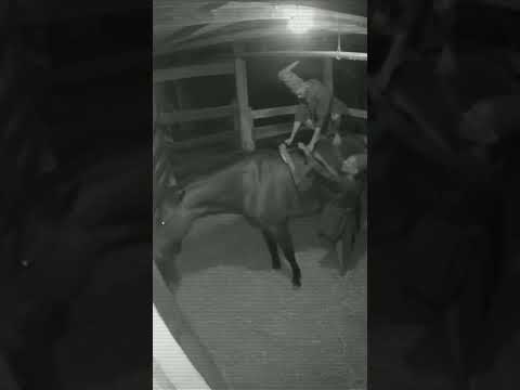 SI tu Caballo AMANECE ASÍ…Ten Cuidado!! Pueden ser Duendes