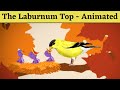 The Laburnum Top | Class 11 | Animated Video | Laburnum Top | The Laburnum Top class 11 animated 11