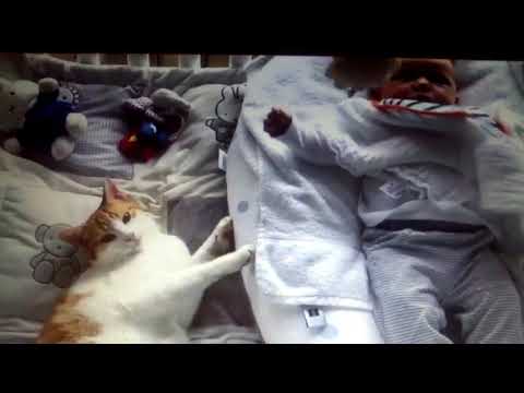 Cute Relationship Between Babies and cats-Cat always loves Baby Compilation