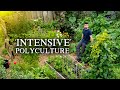 This Small Scale Permaculture Garden Is PACKED With Food