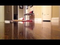 Mikki Playing
