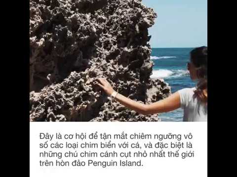 5 ĐIỂM 'CHECK-IN' SIÊU THÚ VỊ Ở THÀNH PHỐ PERTH (ÚC)