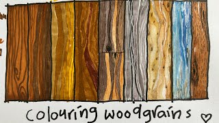 Tutorial for beginners at coloring wood grains effect .