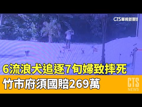 6流浪犬追逐7旬婦致摔死　竹市府須國賠269萬
