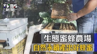 【TVBS】生態蜜蜂農場 自然永續產出好蜂蜜