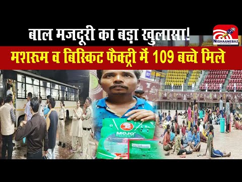 Mojo Mushroom Factory : बाल मजदूरी का काला कारोबार, मोजो मशरूम, बिस्किट फैक्ट्री में मानवाधिकार...