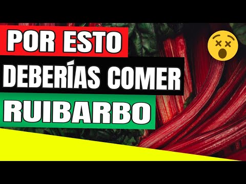 , title : '🟢 Qué Es El Ruibarbo Y Para Qué Sirve ✅ Ruibarbo  👇'