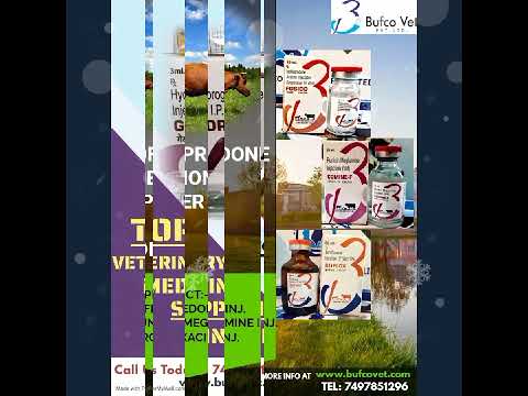 Ascorbic acid 100ml, grade standard: ip, bufco vet