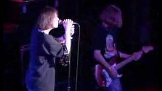 Gin Blossoms - What (Live in Chicago)