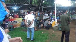 SUASANA LOMBA BURUNG BERKICAU ANAK SULTAN CUP 3 GUNUNG PUTRI KOTA BOGOR .